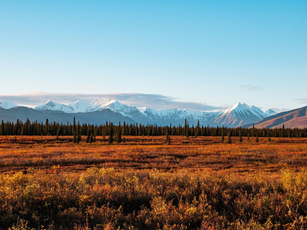 Rondreis Amerika, Alaska, Denali National park, uitzicht over de bergen