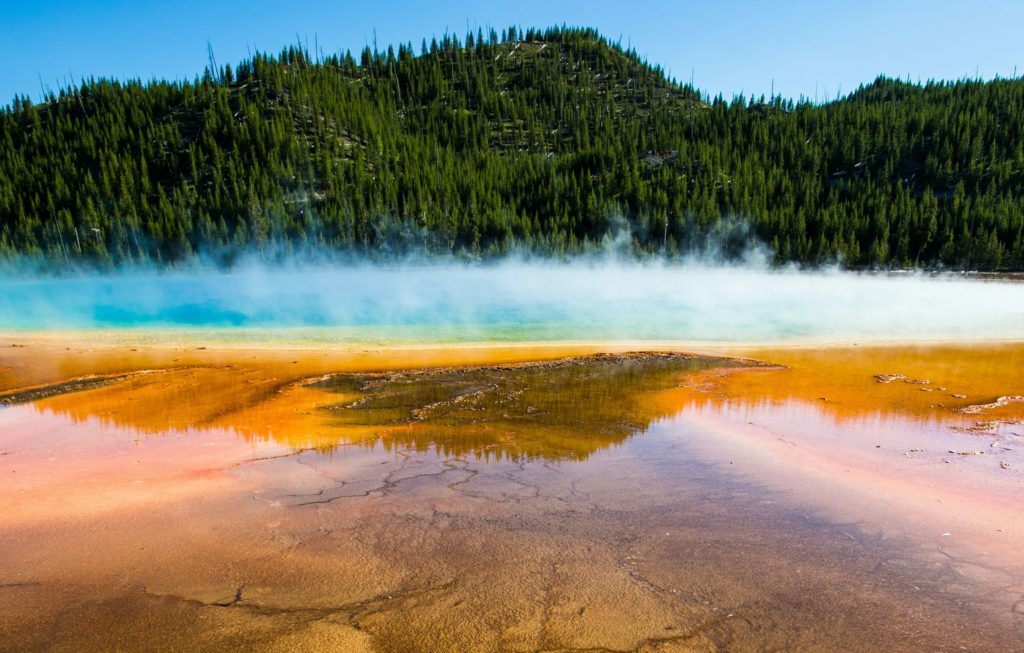 Rondreis Amerika, Yellowstone, meer met uitzicht over bos