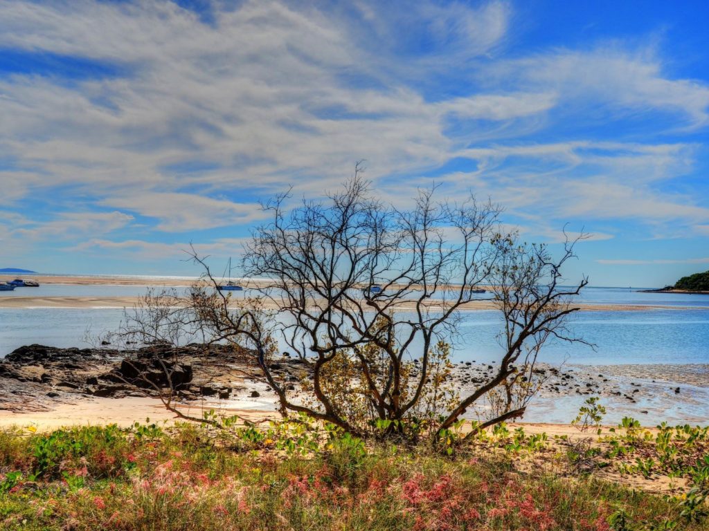 Hoogtepunten | WRC Reizen