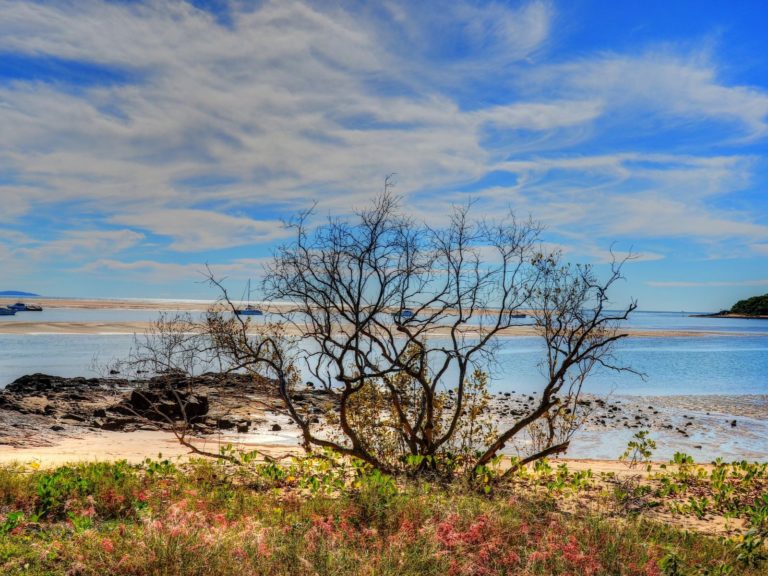 Hoogtepunten | WRC Reizen