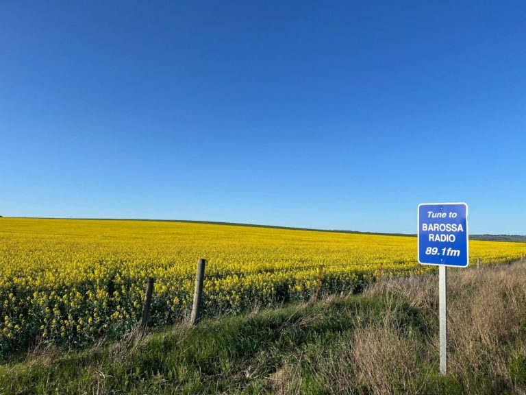 Hoogtepunten | WRC Reizen