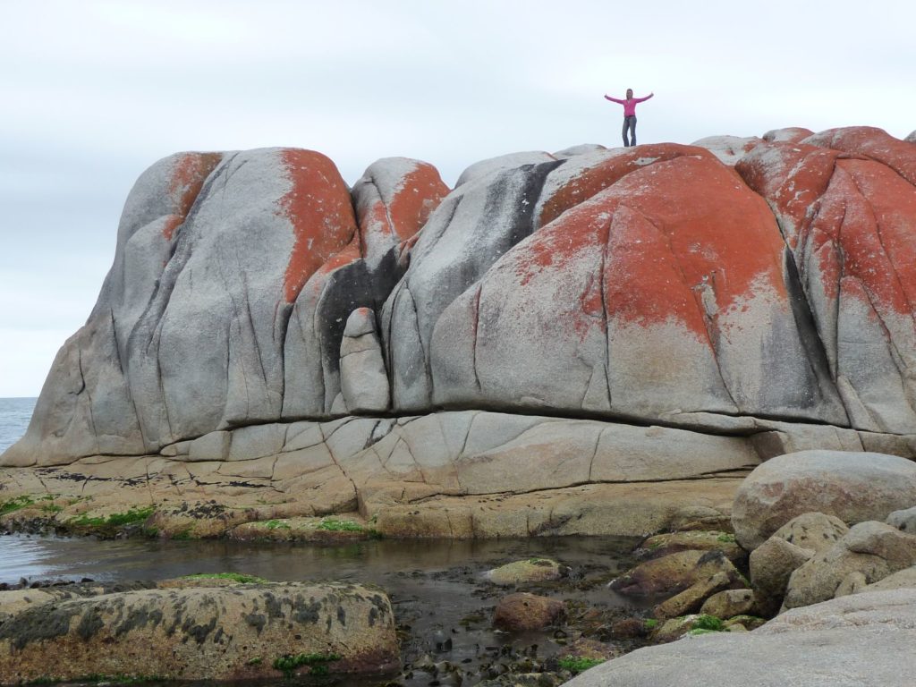 Hoogtepunten | WRC Reizen