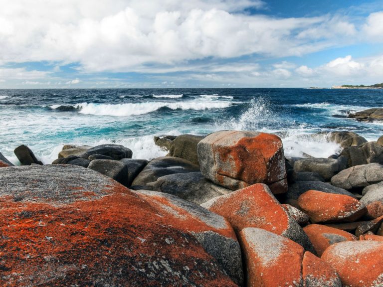 Hoogtepunten | WRC Reizen