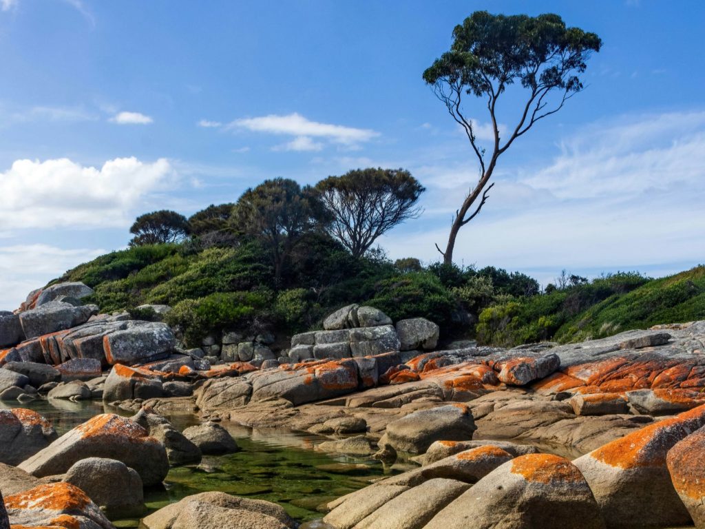 Hoogtepunten | WRC Reizen