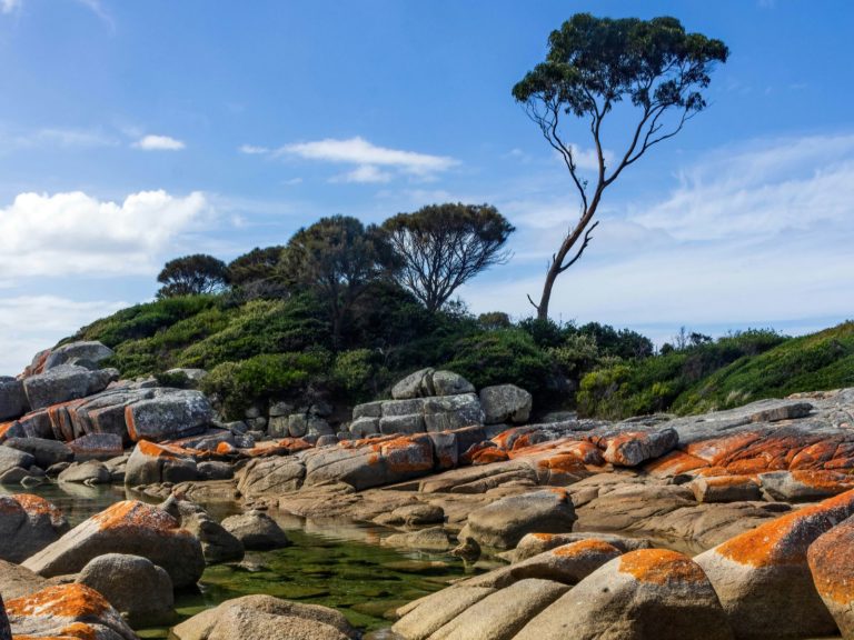 Hoogtepunten | WRC Reizen