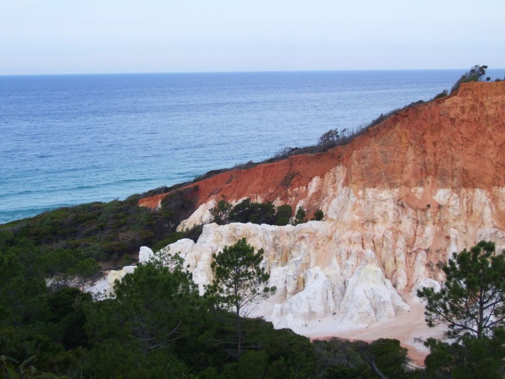 Hoogtepunten | WRC Reizen