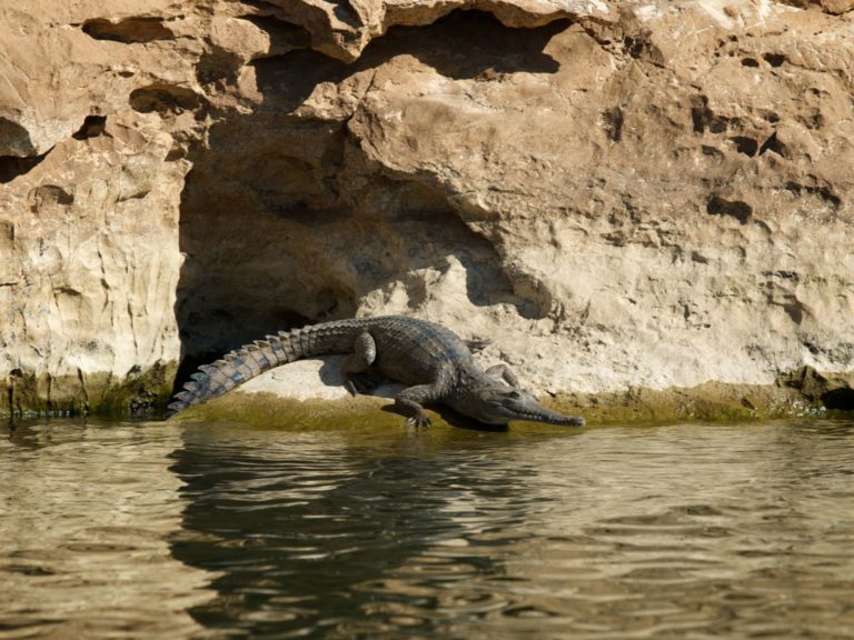 Hoogtepunten | WRC Reizen