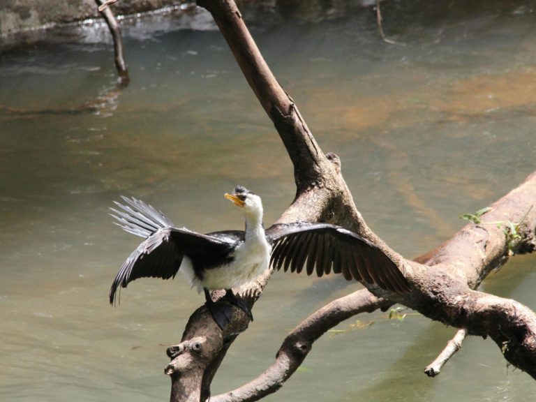 Uitbreidingen | WRC Reizen