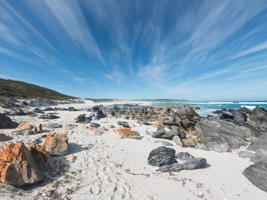 Hoogtepunten | WRC Reizen