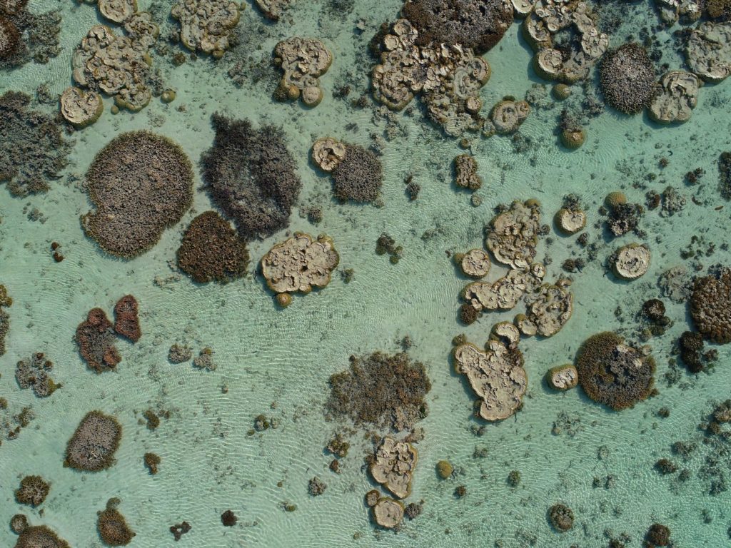 Hoogtepunten | WRC Reizen