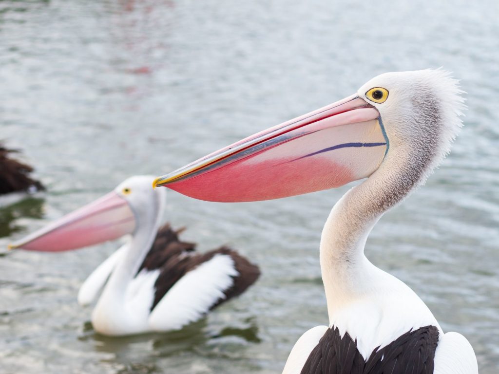 Hoogtepunten | WRC Reizen