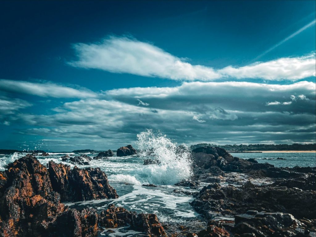 Hoogtepunten | WRC Reizen