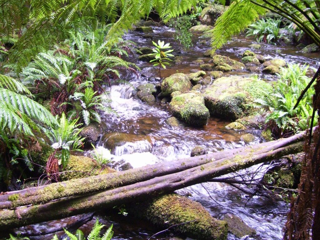 Hoogtepunten | WRC Reizen