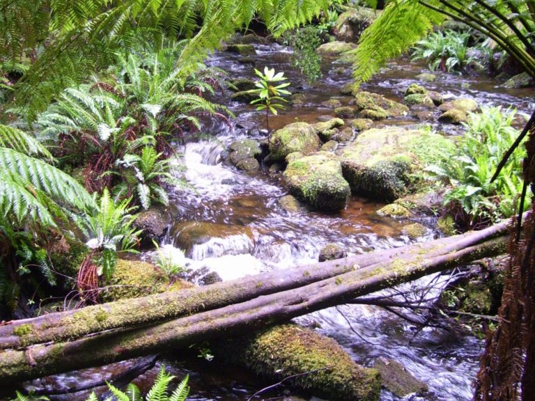 Hoogtepunten | WRC Reizen