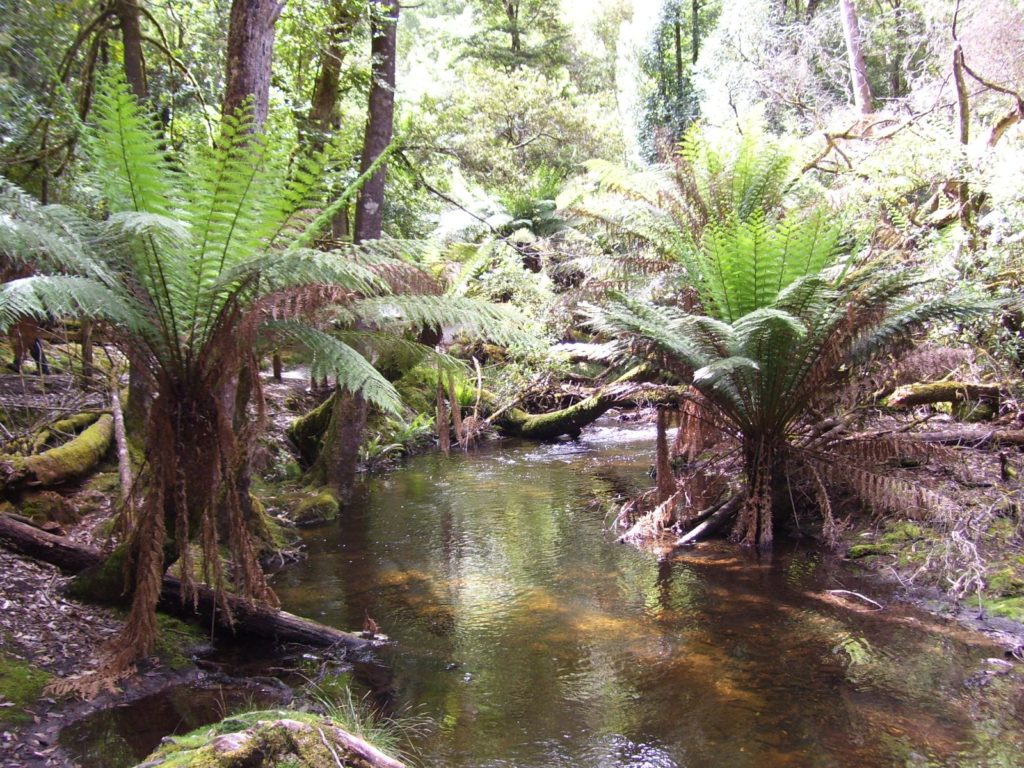 Hoogtepunten | WRC Reizen