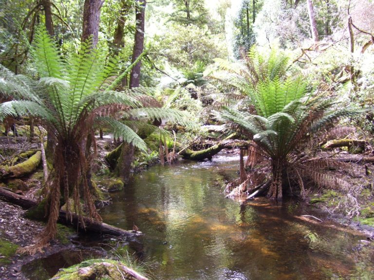 Hoogtepunten | WRC Reizen