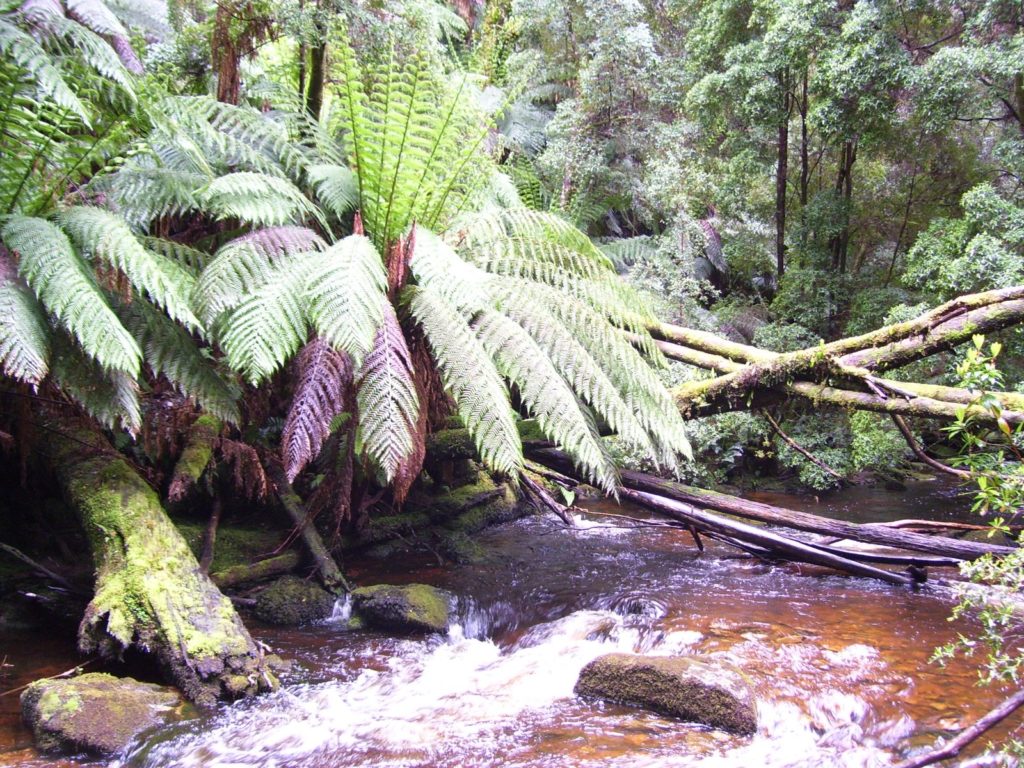 Hoogtepunten | WRC Reizen