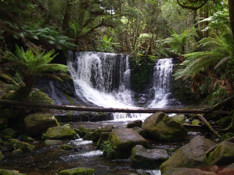 Hoogtepunten | WRC Reizen