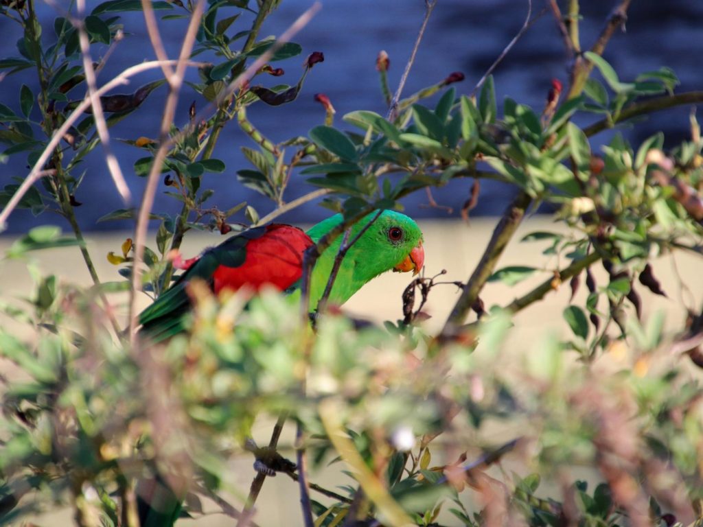 Uitbreidingen | WRC Reizen