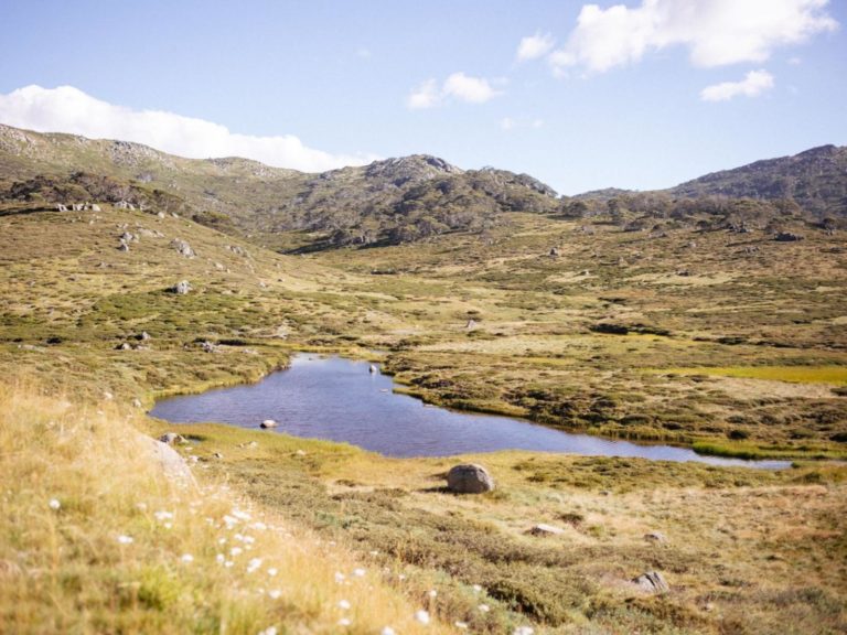 Uitbreidingen | WRC Reizen