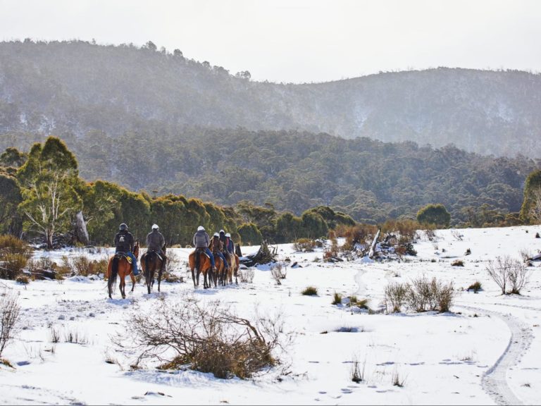 Uitbreidingen | WRC Reizen
